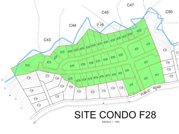 FF Lots in Playa Lagarto (Topography)