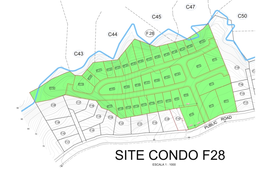 FF Lots in Playa Lagarto (Topography)