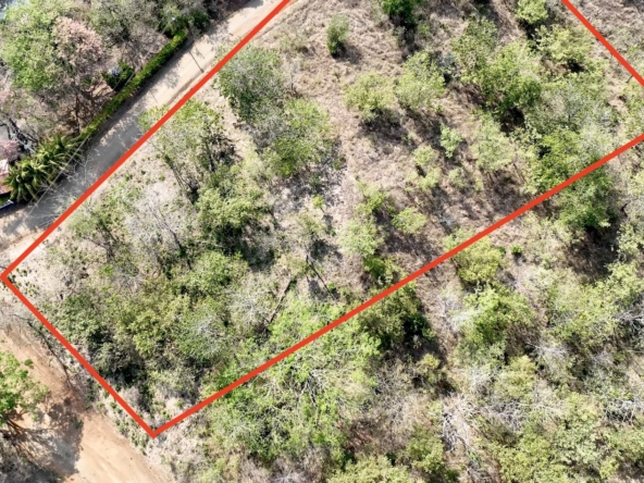 G110 - Playa Lagarto