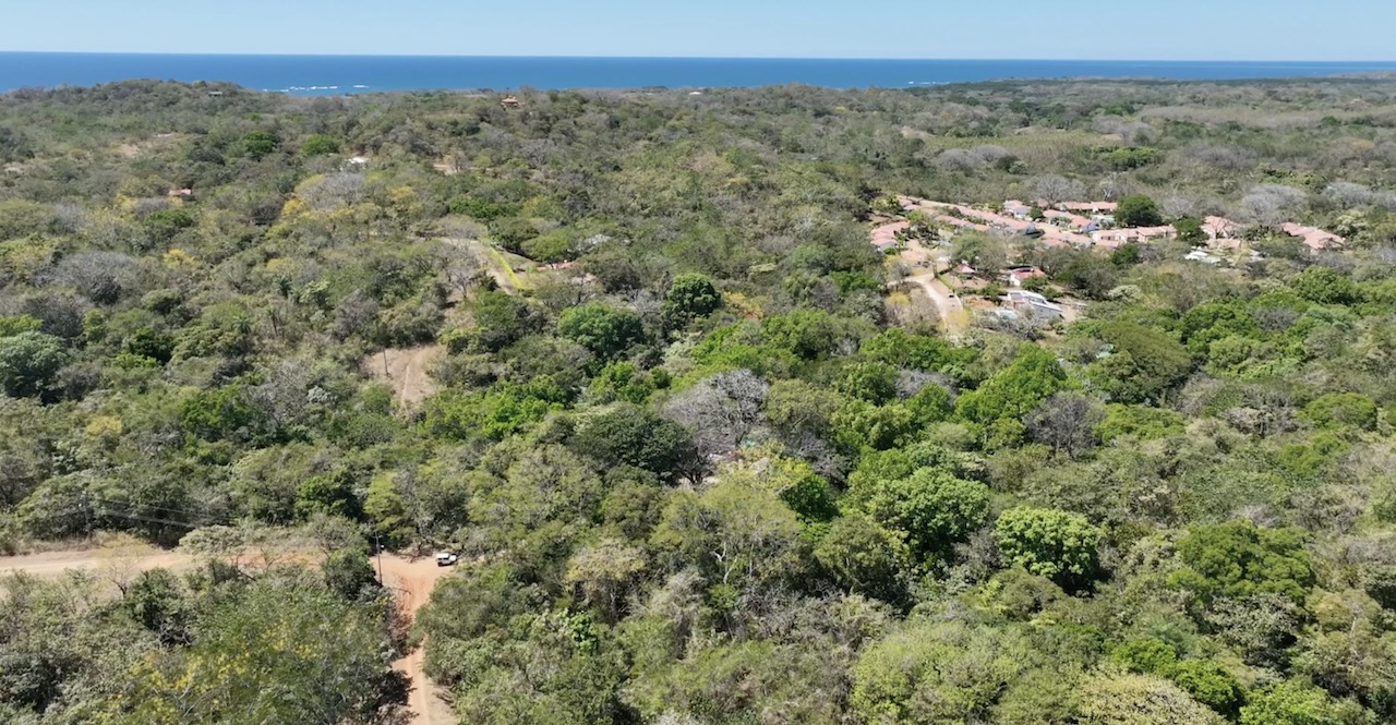 Lot A-114 - For Sale - PlayaLagartoRealEstate.com ---