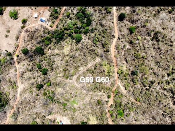 G59 & G60 Lot Map - Playa Lagarto