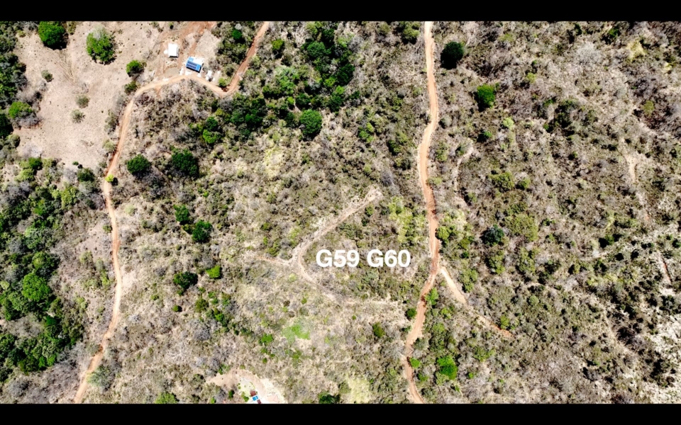 G59 & G60 Lot Map - Playa Lagarto