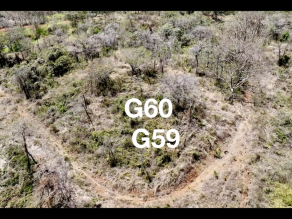 G59 & G60 Lot Map - Playa Lagarto