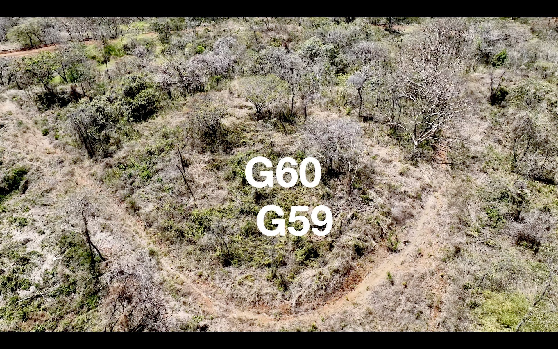 G59 & G60 Lot Map - Playa Lagarto