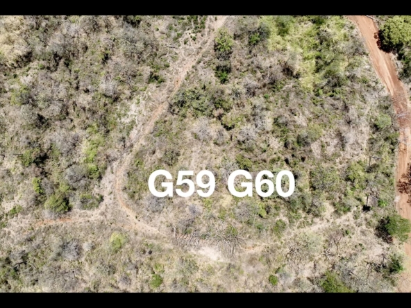 G59 & G60 Lot Map - Playa Lagarto