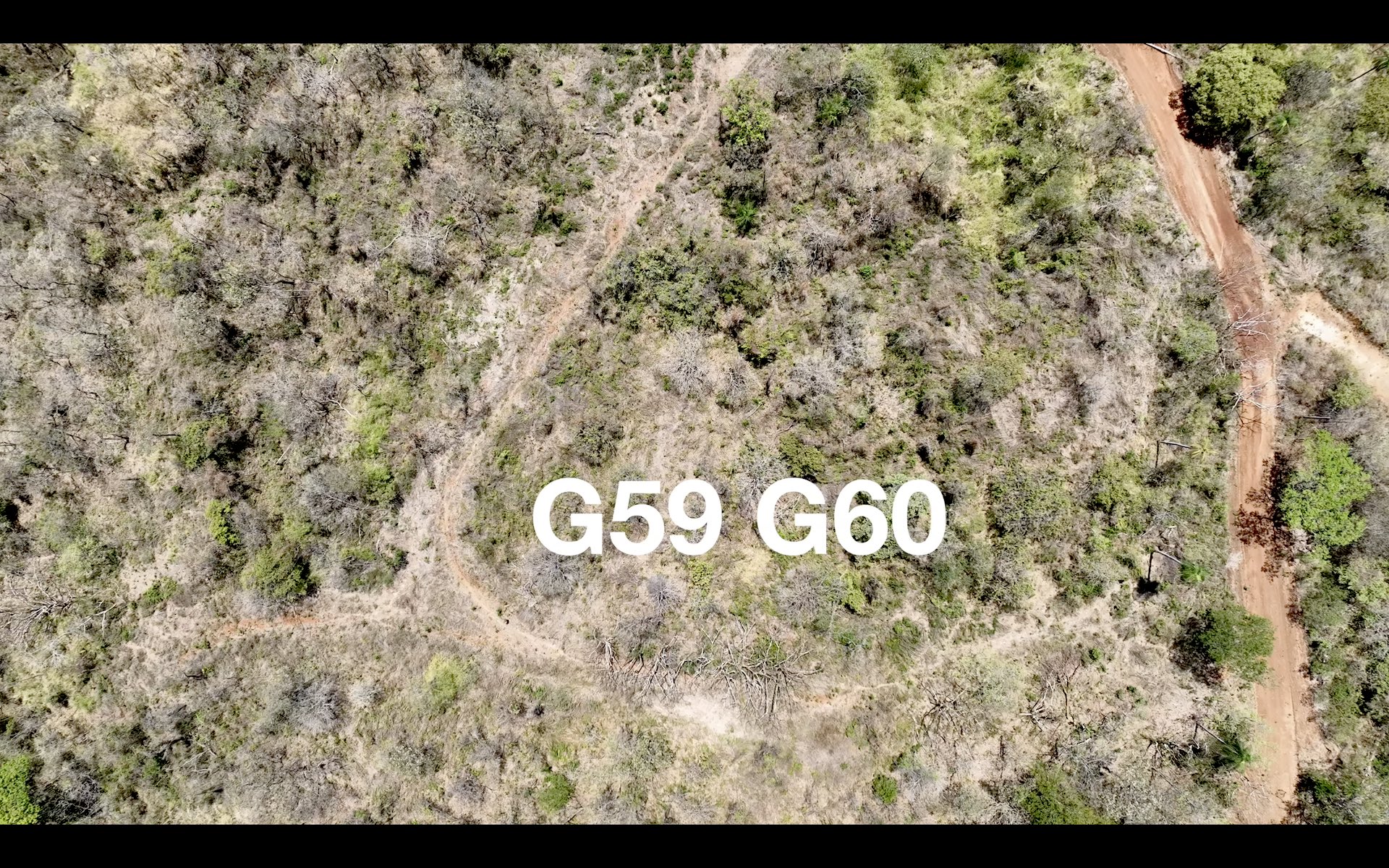 G59 & G60 Lot Map - Playa Lagarto