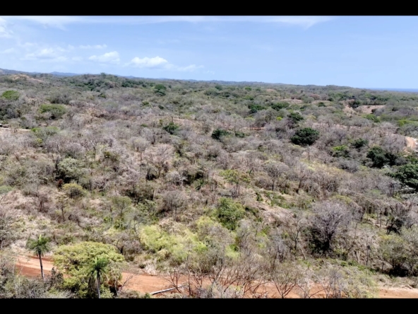 G59 & G60 Lot Map - Playa Lagarto