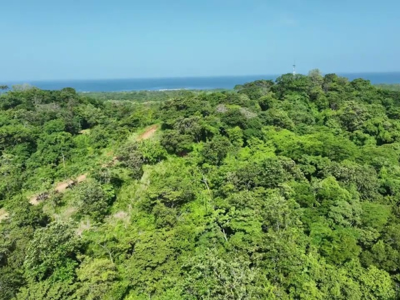 Lot A93 - Playa Lagarto