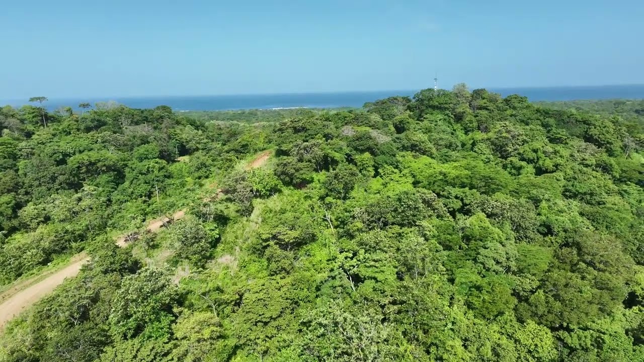 Lot A93 - Playa Lagarto