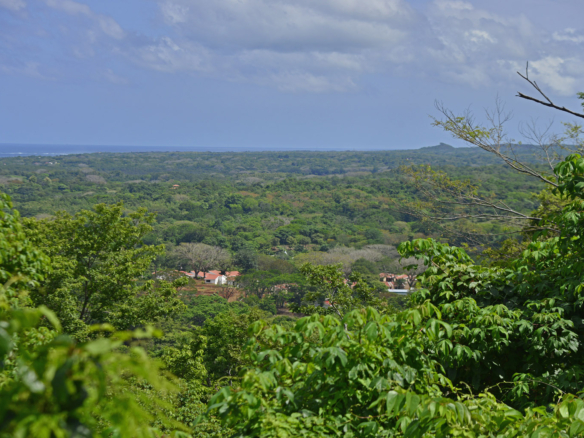 Playa Lagarto - Lots Aerial