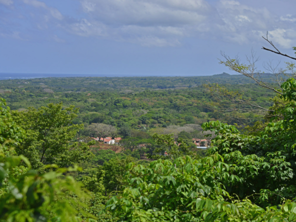 Playa Lagarto - Lots Aerial