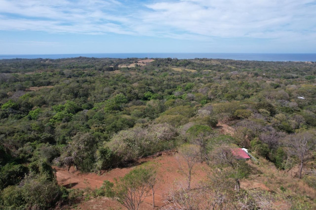 Crystal River - Playa Lagarto Costa Rica - PlayaLagartoRealEstate.com