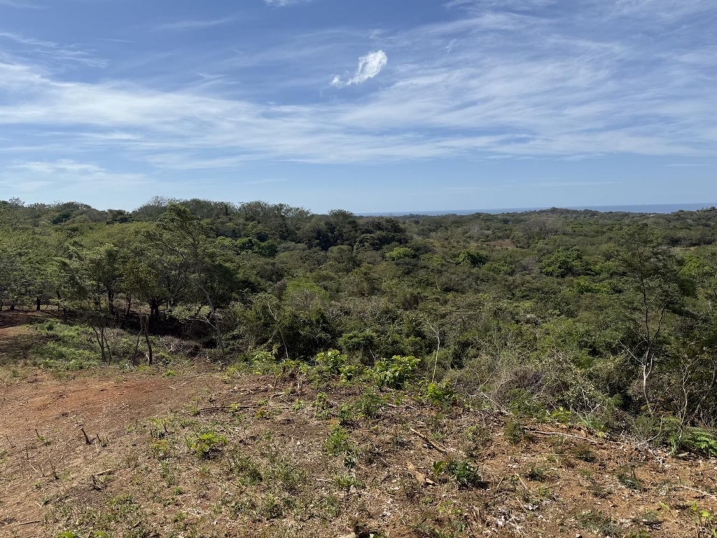 Crystal River - Playa Lagarto Costa Rica - PlayaLagartoRealEstate.com