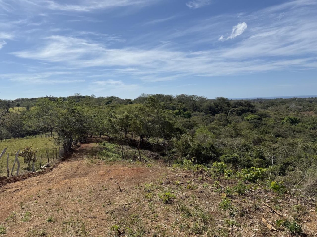 Crystal River - Playa Lagarto Costa Rica - PlayaLagartoRealEstate.com