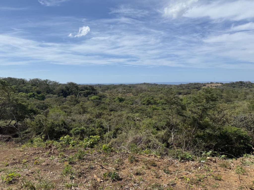 Crystal River - Playa Lagarto Costa Rica - PlayaLagartoRealEstate.com