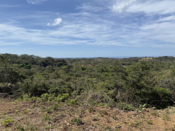 Crystal River - Playa Lagarto Costa Rica - PlayaLagartoRealEstate.com