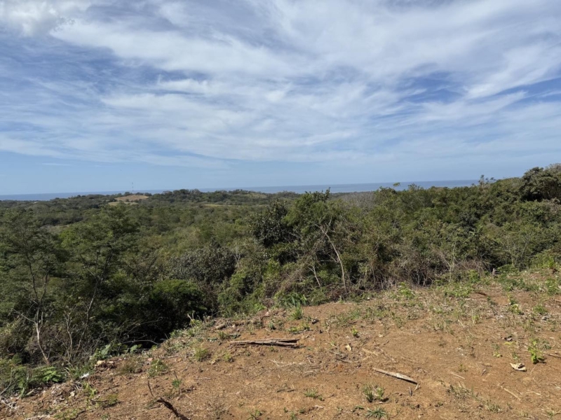 Crystal River - Playa Lagarto Costa Rica - PlayaLagartoRealEstate.com