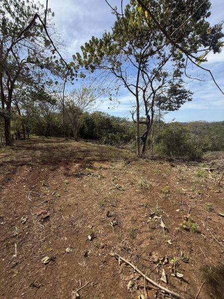 Crystal River - Playa Lagarto Costa Rica - PlayaLagartoRealEstate.com