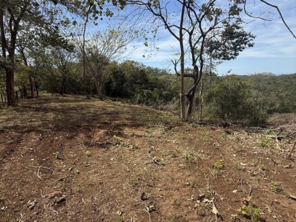 Crystal River - Playa Lagarto Costa Rica - PlayaLagartoRealEstate.com