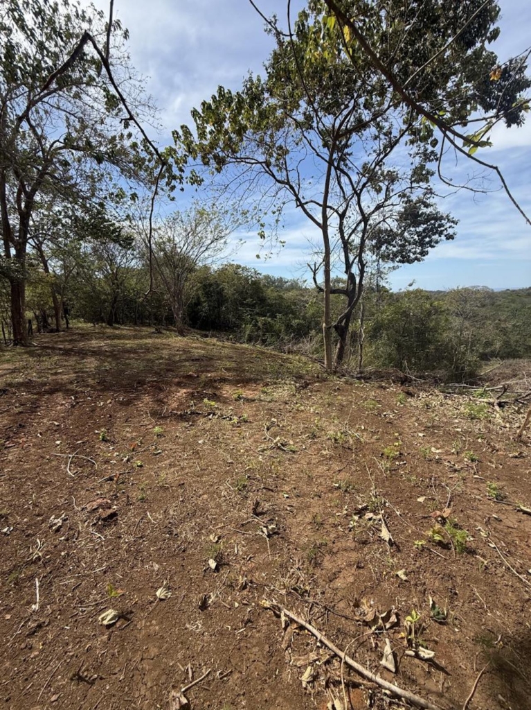 Crystal River - Playa Lagarto Costa Rica - PlayaLagartoRealEstate.com