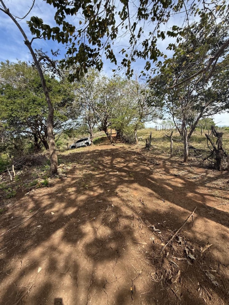 Crystal River - Playa Lagarto Costa Rica - PlayaLagartoRealEstate.com