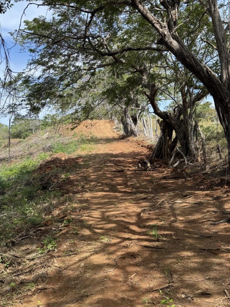 Crystal River - Playa Lagarto Costa Rica - PlayaLagartoRealEstate.com