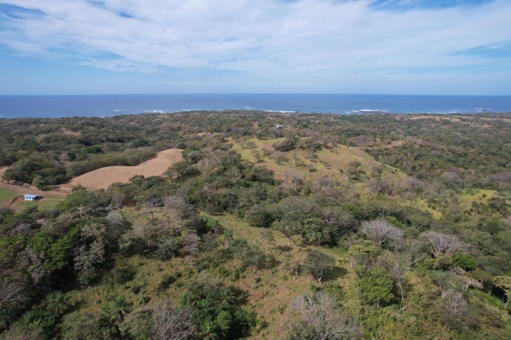 Crystal River - Playa Lagarto Costa Rica - PlayaLagartoRealEstate.com