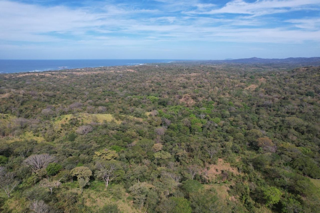 Crystal River - Playa Lagarto Costa Rica - PlayaLagartoRealEstate.com