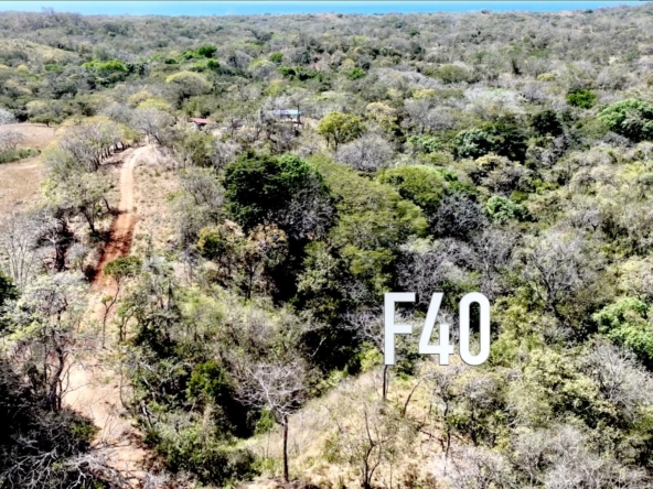 F40 Lot Aerial - PlayaLagartoRealEstate.com