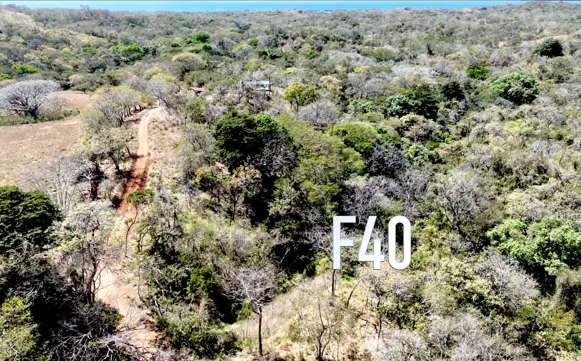 F40 Lot Aerial - PlayaLagartoRealEstate.com