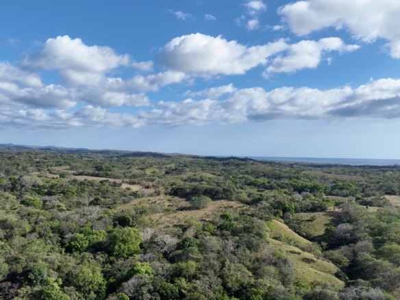 Ocean View Lots - Playa Lagarto Eco Development