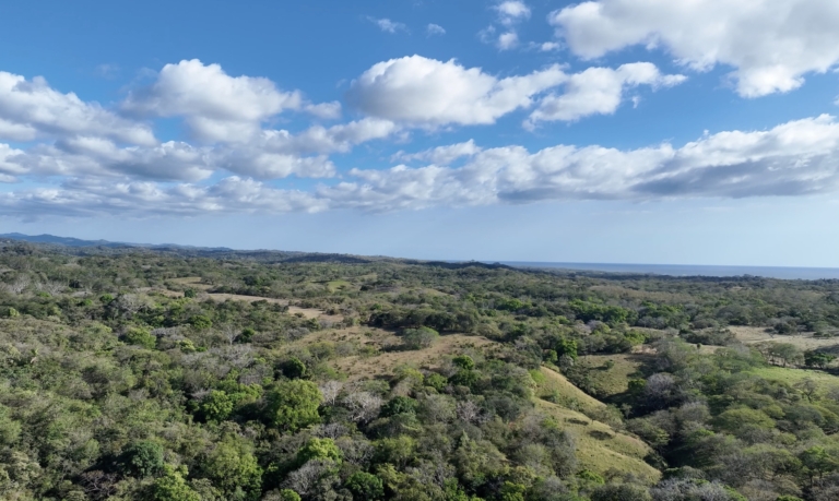 Ocean View Lots in Playa Lagarto for sale, From $50,000 USD, Costa Rica