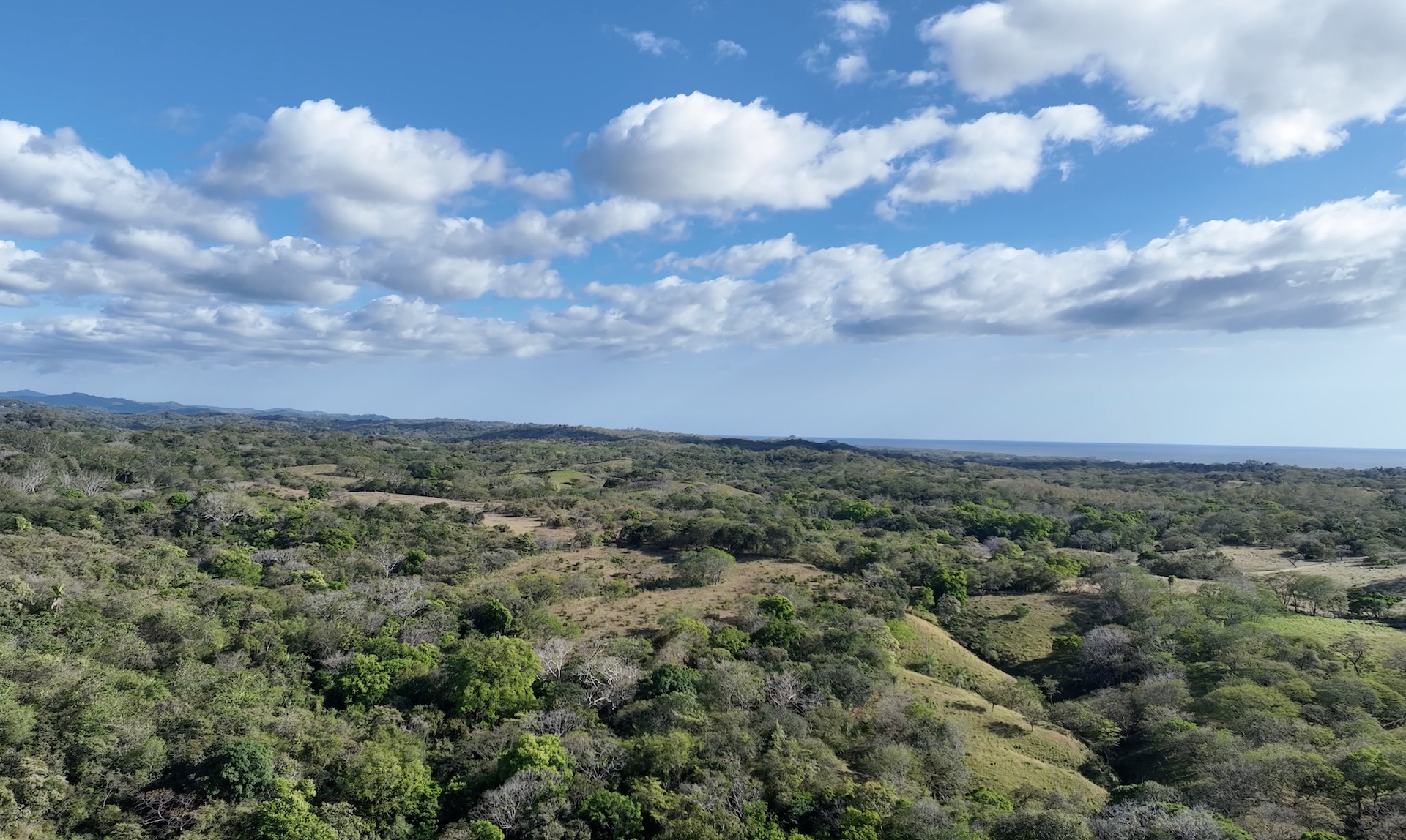 Ocean View Lots - Playa Lagarto Eco Development