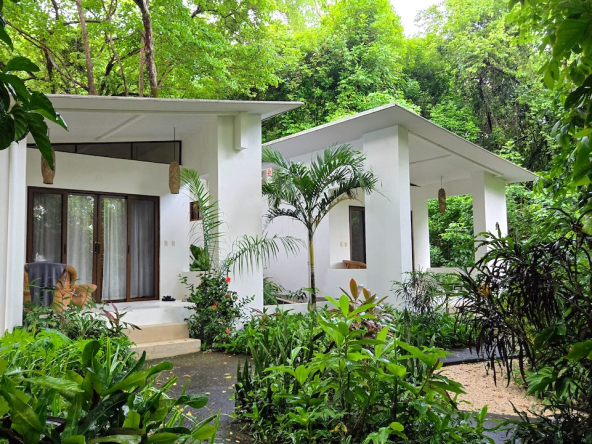 Nosara Boutique Hotel - For Sale