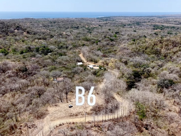 Lot B06 - Eco Lagarto For Sale