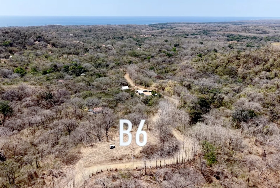 Lot B06 - Eco Lagarto For Sale