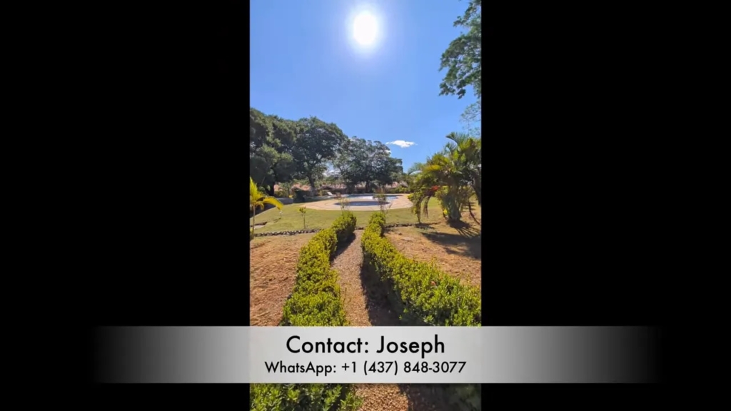 Sunny garden path leading from the patio toward the pool area and mature trees