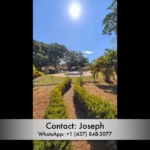 Sunny garden path leading from the patio toward the pool area and mature trees