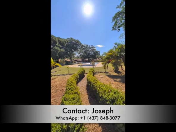 Sunny garden path leading from the patio toward the pool area and mature trees
