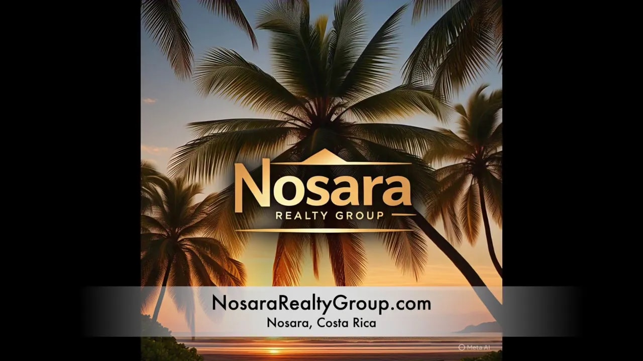 Nosara Realty Group logo over sunset palms with website and Nosara Costa Rica text